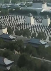 助李世民一统天下的府兵制，为什么到了盛唐就不灵了