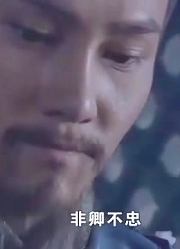 赵构去岳公祠，怎料见到岳飞的死前遗言，全都明白了！