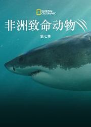 非洲致命动物第7季