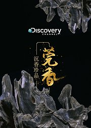 沉香珍品：莞香