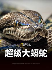 超级大蟒蛇