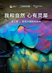 我和自然心有灵犀第3季发现中国特有物种