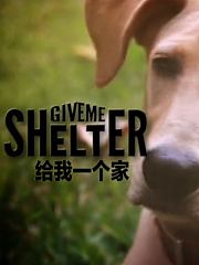 给我一个家