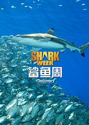 鲨鱼周：核变怪鲨