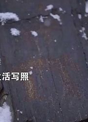 驰骋冰天雪地，在大雪天里前行，只为看一眼岩画