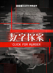 数字探案