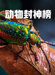 动物封神榜