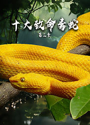 十大致命毒蛇第3季