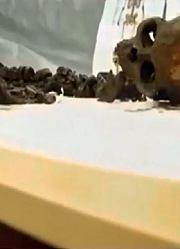 工地惊现宋代家族墓葬群，考古人员研究，墓主人竟是北宋著名画家
