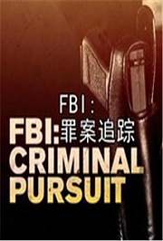 FBI罪案追踪第2季