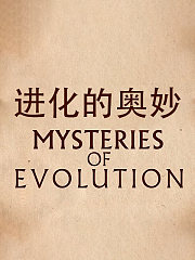 进化的奥妙