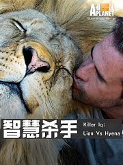 智慧杀手
