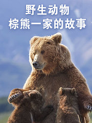 野生动物：棕熊一家的故事