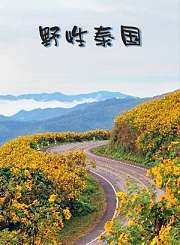 野性泰国