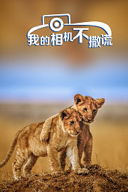我的相机不撒谎