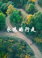 2021懂车帝新能源冬测-懂车帝