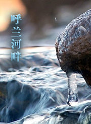 非遗时光好物-淞南蛋雕