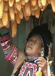 守望天籁的声响