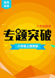 八年级数学专题突破（八上提高版）