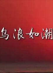 鸟浪奇观