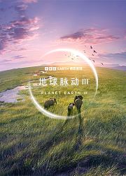地球脉动第3季[中文版]