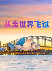 从全世界飞过