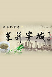 茉莉窨城2013