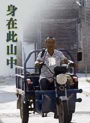 满天晴雪映梅花
