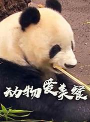 一万公里定律-懂车帝