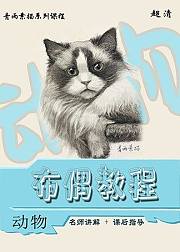 素描动物零基础入门教程-布偶-青雨素描-安德烈绘画工作室