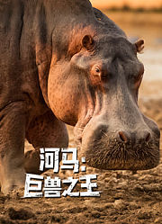 河马：巨兽之王
