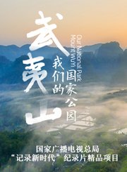 惊情48小时导视-热剧
