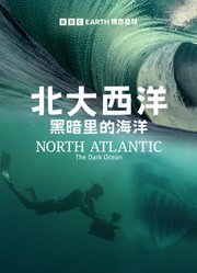 北大西洋：黑暗里的海洋