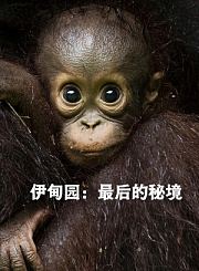 伊甸园：最后的秘境-普通话版