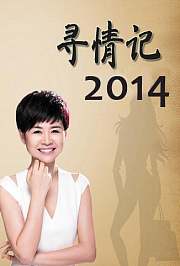 寻情记2014