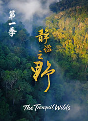 静谧之野第1季