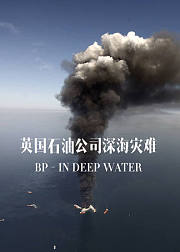 英国石油公司深海灾难