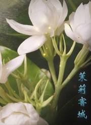 四川非遗100第2季