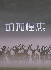 动物怪杰
