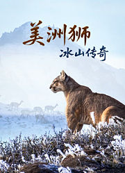 美洲狮：冰山传奇