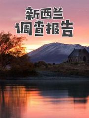 新西兰调查报告