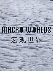 宏观世界