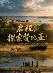 启程，探索赞比亚
