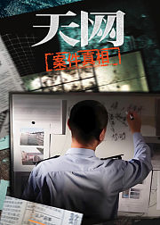 天网案件真相