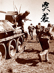 八月风暴