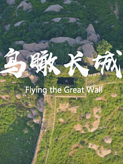 鸟瞰长城