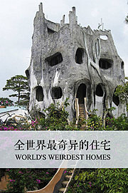 全世界最奇异的住宅