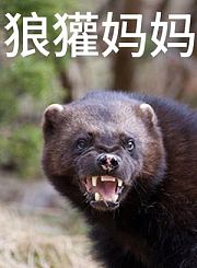 电解场-懂车帝