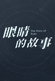眼睛的故事