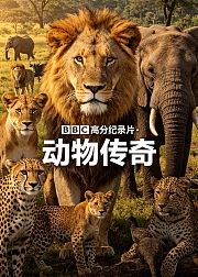 BBC高分纪录片动物传奇